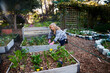 © StratfordProductions - Young caucasian woman in checked shirt kneeling over flowerbed while gardening in plant nursery