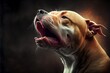 © XXX - Cool looking pitbull barking