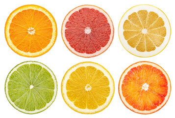 Wall Mural - Citrus fruit slices isolated on white background with clipping path