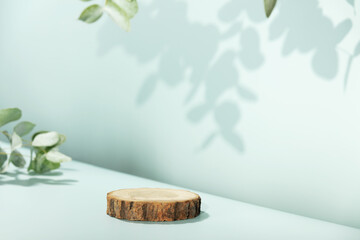 Wood slice podium with eucalyptus leaves on blue background for cosmetic product mockup