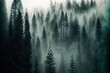 dense pine woodland with thick fog Generative AI