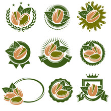 Pistachio Nuts Label And Icon Set. Collection Pistachio Nuts Icons. Vector