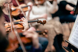 Fototapeta Krajobraz - A person playing the violin or viola during a classical symphony orchestra rehearsal