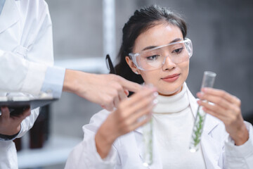 Wall Mural - Pharmaceutical factory woman worker in protective clothing operating production line in sterile environment, scientist with glasses and gloves checking hemp plants in a marijuana farm