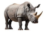 Fototapeta  - Rhino isolated on white, png, generative ai