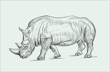 Hand Drawn Sketch Of Rhino Vector Illustration On White Background