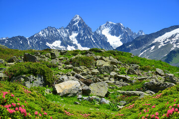 Wall Mural - idyllic mountain landscape in sunny day. mount aiguille du chardonnet and aiguille d'argentiere, nat