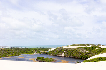 Wall Mural - River and dunes