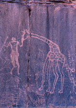 Rock Carvings Depicting A Warrior With Giraffes, Tassili N'Ajjer National Park, Tadrart Rouge, Algeria