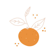 Christmas tangerine, mandarin fruit vector illustration for sticker, print, poster, postcard