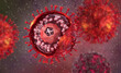 © sokolova_sv - Medical background, herpes simplex virus type one, herpesvirus family that causes oral herpes in humans, realistic 3D structure diagram, 3D rendering