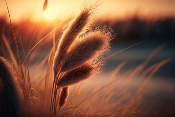 Wall Mural - Dry Pampas against orange sky with a setting sun. Nature, decorative wild meadow. Summer, autumn evening, romantic mood. Generative AI