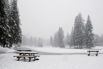 Poster - Natural landscape with snowfall in the French Alps , on the shore of Chavants Lake in Les Houches, Chamonix, France