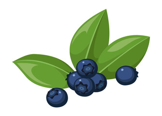 Wall Mural - Vector blueberry isolated on white background