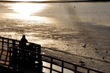 Silhouette Of People Walking Along The Pier In Early Spring