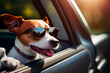 glücklicher Hund, der den Kopf aus dem Autofenster streckt und Spaß hat - Generative Ai