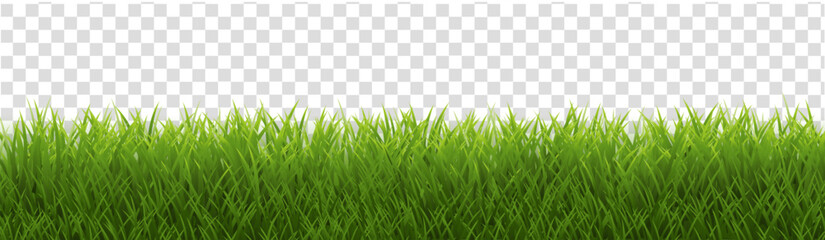 Wall Mural - green grass background