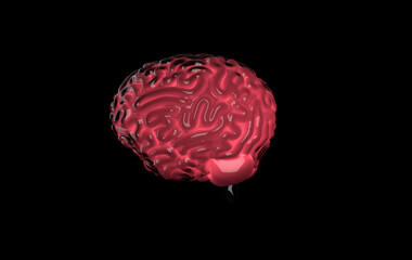 Sticker - Human brain 3d rendering isolated on black, concept of intelligence, technology, learning. Light of idea