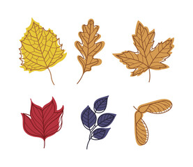 Sticker - Bright Autumn Foliage with Different Leaf Color Vector Set