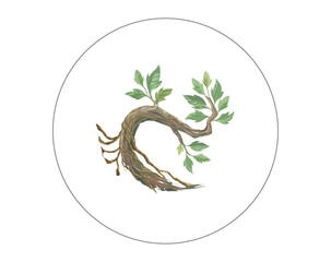 Sticker - tree hand drawing art. old bonsai vector