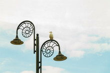 A Seagull Sitting On A Street Lamp Post Against A Blue Sky And White Clouds
