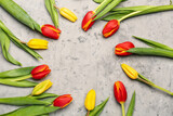 Fototapeta Tulipany - Frame made of beautiful tulip flowers on grunge background. Hello spring