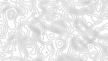White Wave Paper Curved Reliefs Abstract Background, Abstract Topographic Contours Map Background. Geographic Mountain Relief. Abstract Lines Background. Contour Maps. Business Concept.