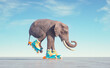 Elephant goes on rollers. Impossible and happiness concept