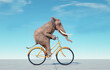Elephant riding on bike. Impossible and happiness concept.