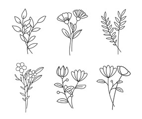 Wall Mural - Floral branch set. Hand drawn with leaves and flowers on white background.