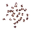 Chocolate chip morsels spread on white background
