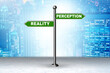© Elnur - Concept of choosing perception or reality