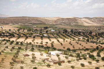 Wall Mural - Farmland in Tunisia, North Africa. Farming in arid landscape