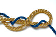 blue and golden ropes intertwined on a white plane
