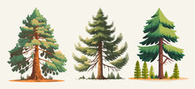 Vector Set Of Cartoon Fir Trees With Coniferous Branches And Trunk Of Fir Trees, Pines. Childrens Flat Vector Illustration Isolated On A White Background