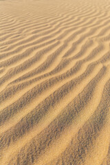  waves of sand formed by the wind in the desert