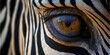 closeup of an eye of a zebra. banner. Generative AI