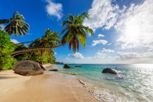 The Beach On Paradise Island. Tropical Beach With Coconut Palms, Rocks And Turquoise Sea In Seychelles Island.