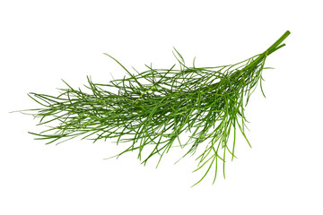 Wall Mural - Bunch of fresh  dill