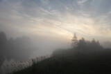 Fototapeta Na ścianę - Morning rural landscape with fog.