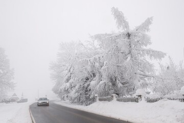 Poster - Very heavy winter conditions on road on misty day. White frozen trees by road. Car on road. Podhale, Poland	
