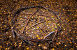 Pentagram arranged from twigs on leaves in the fall in dark forest