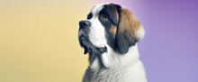 Close Up Of A St Bernard Dog With A Yellow And Purple Pastel Background. Dog Fashion Photo. Generative AI