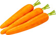 © Juraiwan - Carrot on white background, Fresh Carrot Isolaet on white with clipping path.