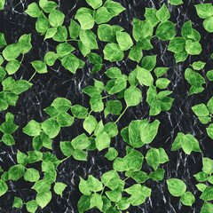 Poster - Ivy leaves on black marble. Background, pattern, wallpaper. Generative AI