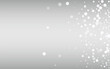 Light Snowflake Vector Silver Background. New