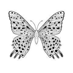 Sticker - Hand drawn butterfly