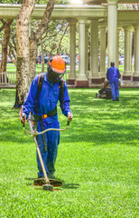 african man , contractor, with a trimmer cutting grass