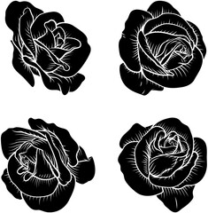 Wall Mural - A set of roses. Each rose flower in a vintage woodcut engraving illustration style.