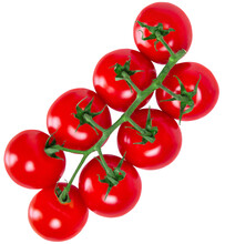 Tomato Branch Isolated On Transparent Background, Png. Top View